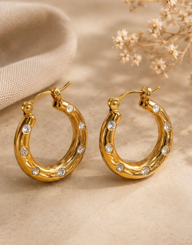 Stainless Steel 18k Gold Plated Cubic Zirconia Hoop Earrings (Copy)