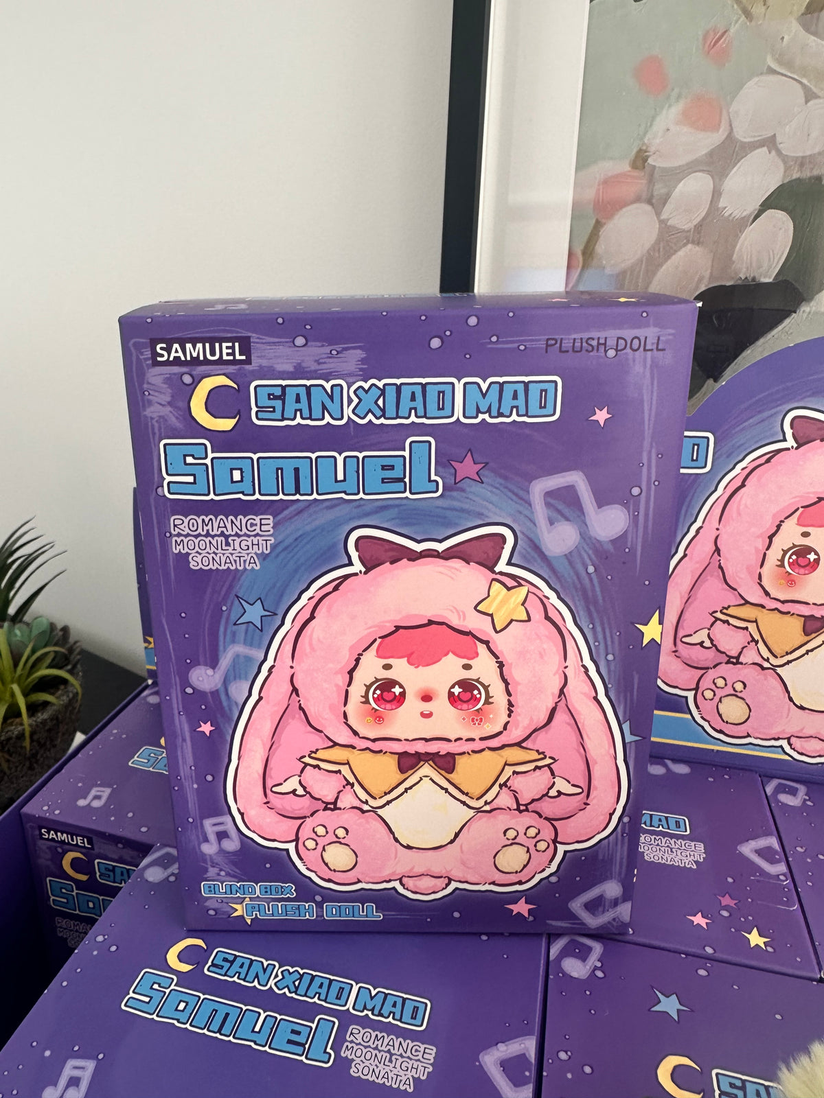 Cute Large Plush Keychain Mystery Blind Box
