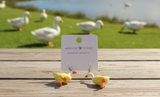 Silly Goose Drop Dangle Earrings