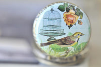 Close-up of vintage bird and birdcage illustration on pocket watch pendant