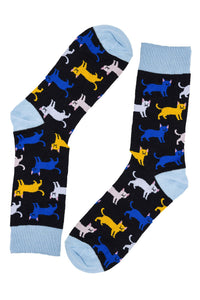 Novelty Fun Socks - Cats