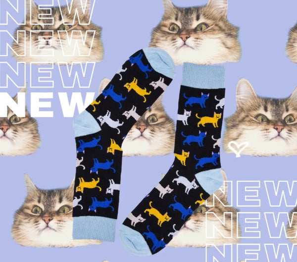 Novelty Fun Socks - Cats
