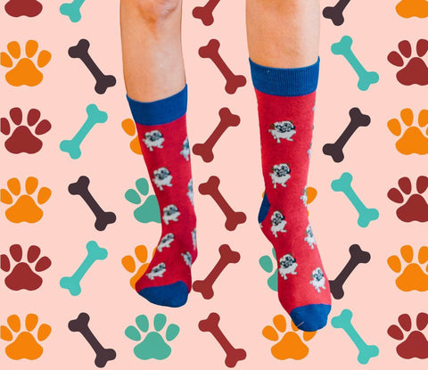 Novelty Fun Socks - Pug