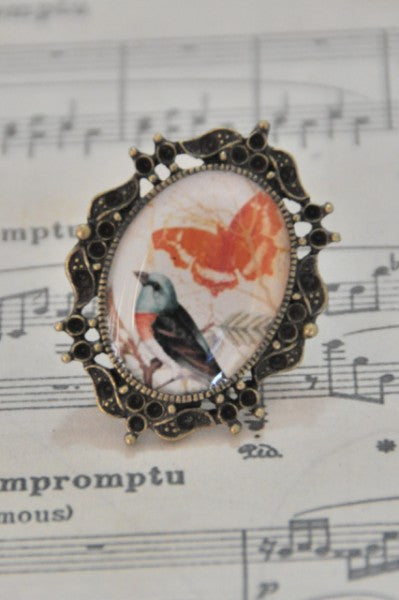 Oiseau et le Papillon